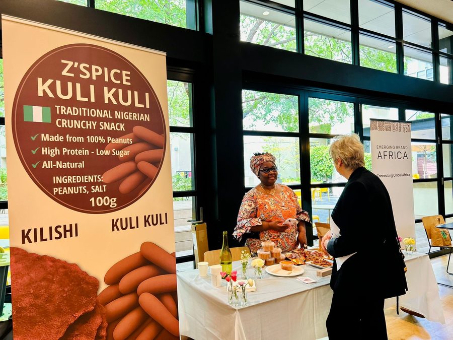 Z'Spice — Nigerian food brand